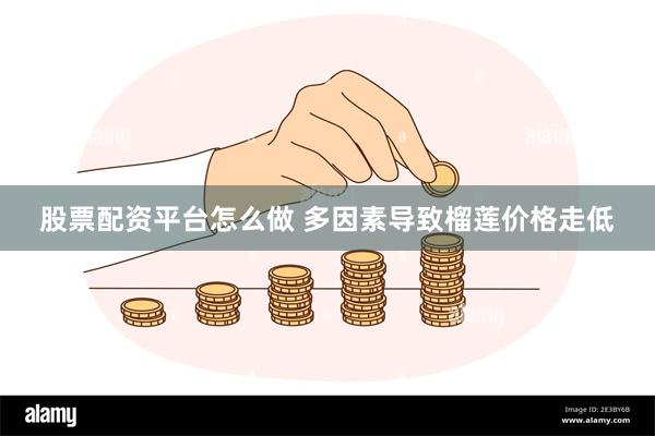 股票配资平台怎么做 多因素导致榴莲价格走低