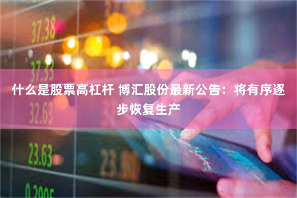 什么是股票高杠杆 博汇股份最新公告：将有序逐步恢复生产