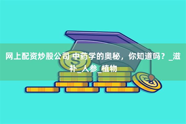 网上配资炒股公司 中药学的奥秘，你知道吗？_滋补_人参_植物