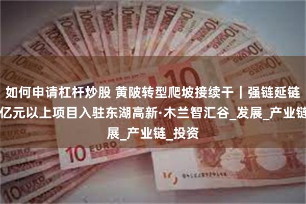 如何申请杠杆炒股 黄陂转型爬坡接续干｜强链延链！5个亿元以上项目入驻东湖高新·木兰智汇谷_发展_产业链_投资