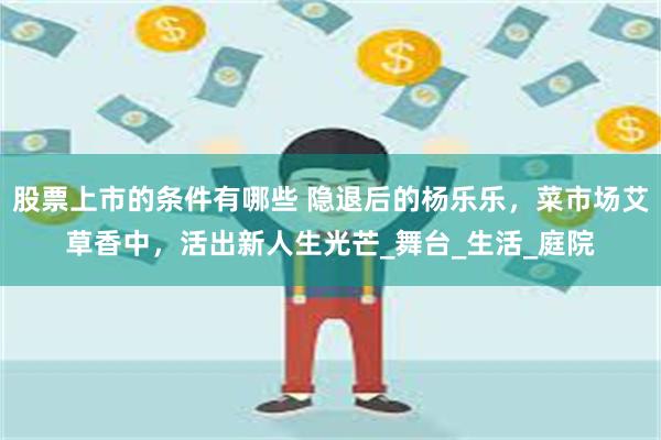 股票上市的条件有哪些 隐退后的杨乐乐，菜市场艾草香中，活出新人生光芒_舞台_生活_庭院