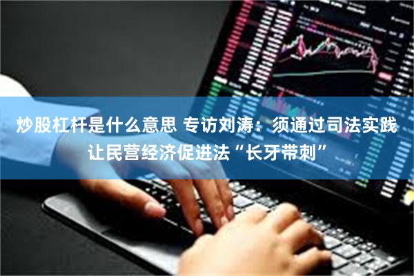 炒股杠杆是什么意思 专访刘涛：须通过司法实践让民营经济促进法“长牙带刺”