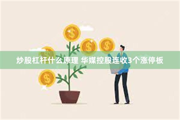 炒股杠杆什么原理 华媒控股连收3个涨停板
