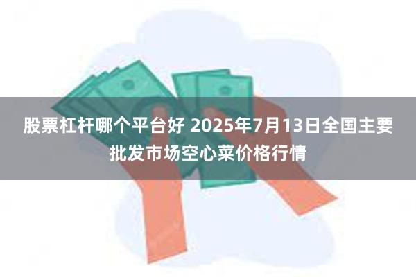 股票杠杆哪个平台好 2025年7月13日全国主要批发市场空心菜价格行情