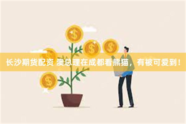 长沙期货配资 澳总理在成都看熊猫，有被可爱到！