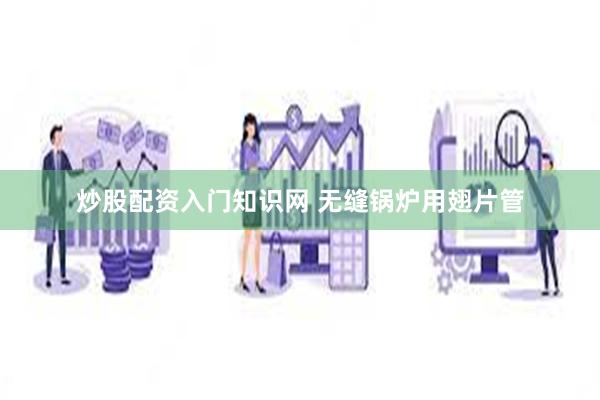 炒股配资入门知识网 无缝锅炉用翅片管